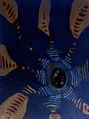 #14-124 blue. gold